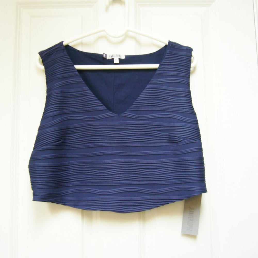 New Jennifer Lopez Crop Top